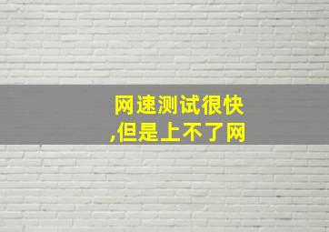 网速测试很快,但是上不了网