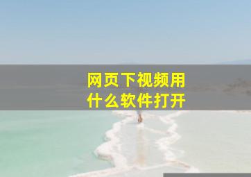 网页下视频用什么软件打开