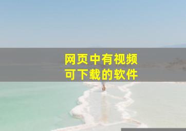 网页中有视频可下载的软件