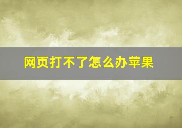 网页打不了怎么办苹果