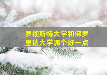 罗彻斯特大学和佛罗里达大学哪个好一点