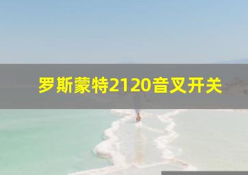 罗斯蒙特2120音叉开关