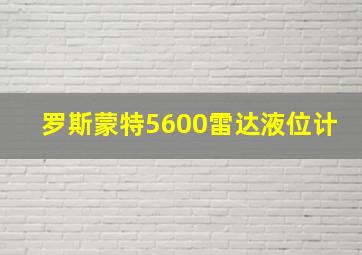 罗斯蒙特5600雷达液位计