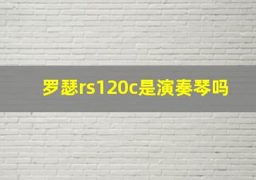 罗瑟rs120c是演奏琴吗