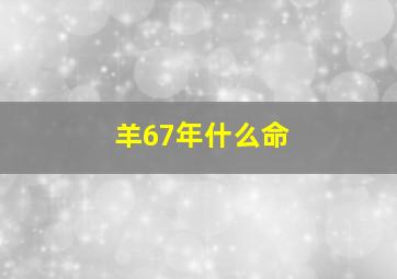 羊67年什么命