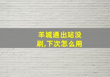 羊城通出站没刷,下次怎么用