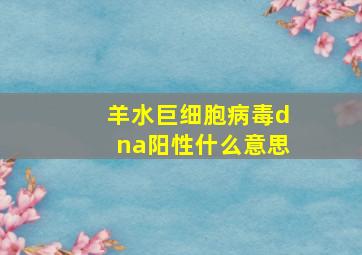 羊水巨细胞病毒dna阳性什么意思