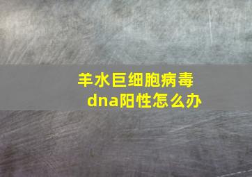 羊水巨细胞病毒dna阳性怎么办