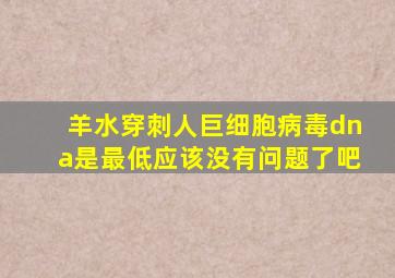 羊水穿刺人巨细胞病毒dna是最低应该没有问题了吧