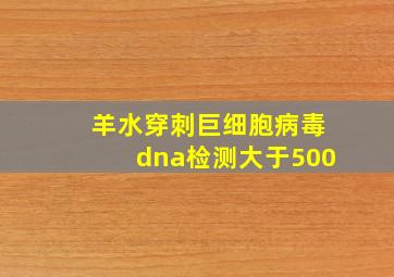 羊水穿刺巨细胞病毒dna检测大于500