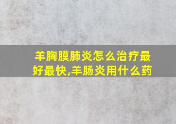 羊胸膜肺炎怎么治疗最好最快,羊肠炎用什么药