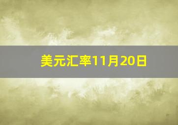 美元汇率11月20日