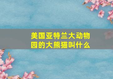 美国亚特兰大动物园的大熊猫叫什么