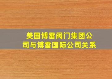 美国博雷阀门集团公司与博雷国际公司关系