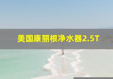 美国康丽根净水器2.5T