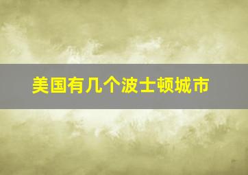 美国有几个波士顿城市