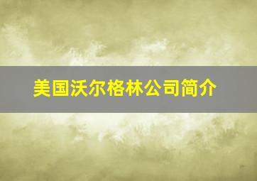 美国沃尔格林公司简介