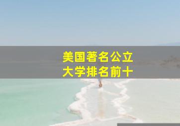 美国著名公立大学排名前十