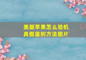 美版苹果怎么验机真假鉴别方法图片