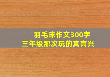 羽毛球作文300字三年级那次玩的真高兴