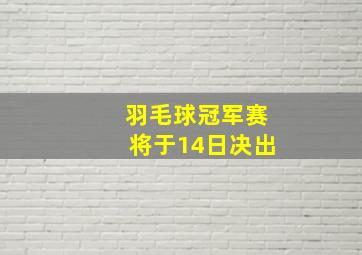 羽毛球冠军赛将于14日决出