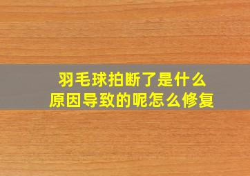 羽毛球拍断了是什么原因导致的呢怎么修复