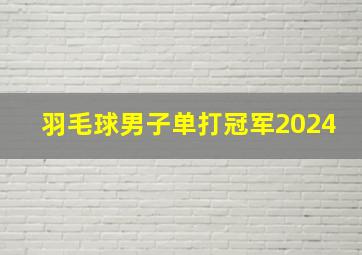 羽毛球男子单打冠军2024