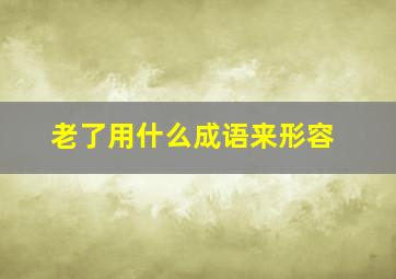 老了用什么成语来形容