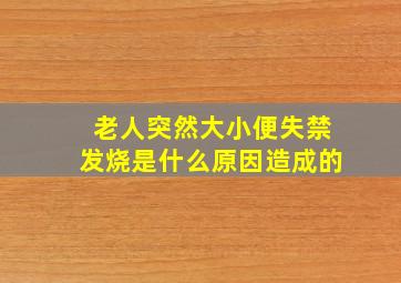 老人突然大小便失禁发烧是什么原因造成的