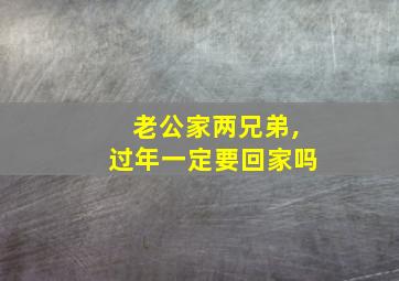 老公家两兄弟,过年一定要回家吗