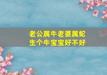 老公属牛老婆属蛇生个牛宝宝好不好