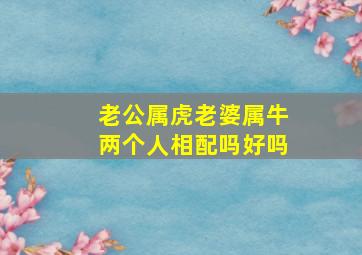 老公属虎老婆属牛两个人相配吗好吗