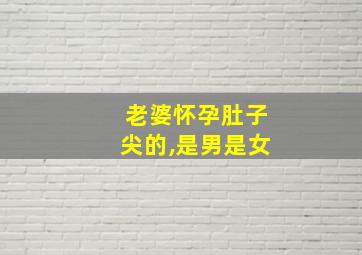 老婆怀孕肚子尖的,是男是女