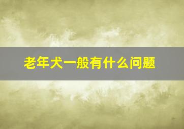 老年犬一般有什么问题