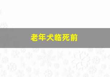 老年犬临死前