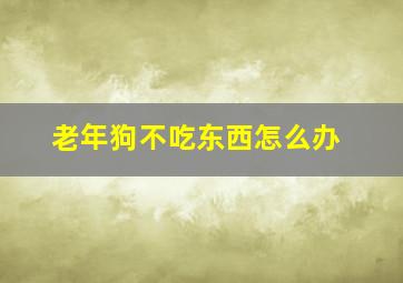 老年狗不吃东西怎么办