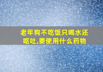 老年狗不吃饭只喝水还呕吐,要使用什么药物