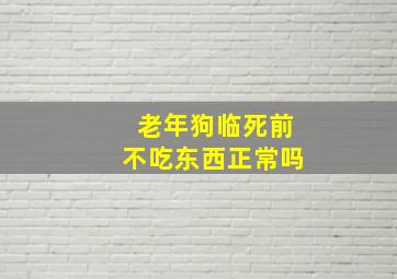 老年狗临死前不吃东西正常吗