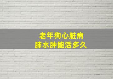 老年狗心脏病肺水肿能活多久