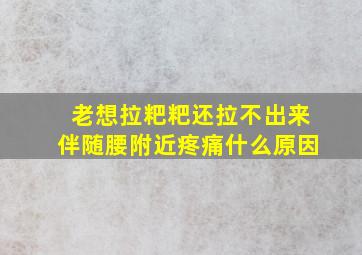 老想拉粑粑还拉不出来伴随腰附近疼痛什么原因