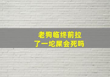 老狗临终前拉了一坨屎会死吗