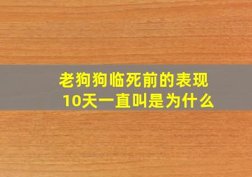 老狗狗临死前的表现10天一直叫是为什么