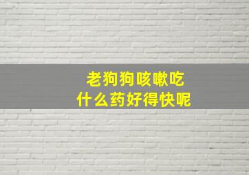 老狗狗咳嗽吃什么药好得快呢