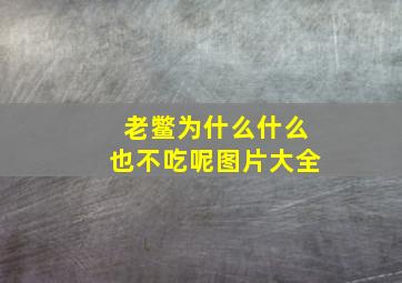 老鳖为什么什么也不吃呢图片大全