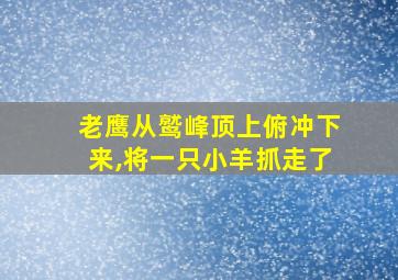 老鹰从鹫峰顶上俯冲下来,将一只小羊抓走了