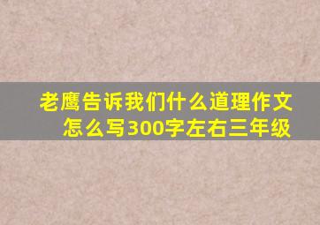 老鹰告诉我们什么道理作文怎么写300字左右三年级