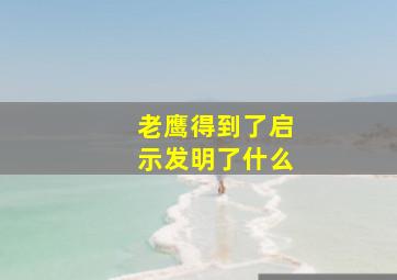 老鹰得到了启示发明了什么