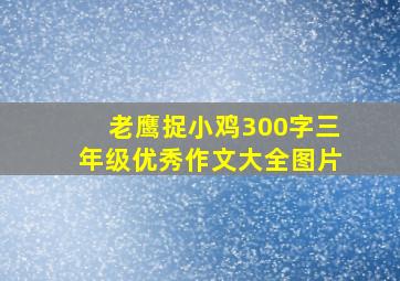 老鹰捉小鸡300字三年级优秀作文大全图片