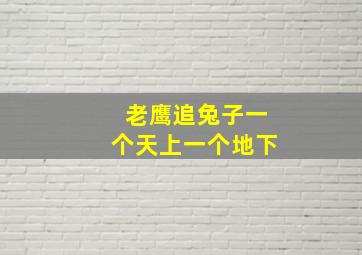 老鹰追兔子一个天上一个地下