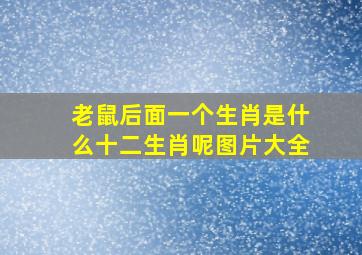 老鼠后面一个生肖是什么十二生肖呢图片大全